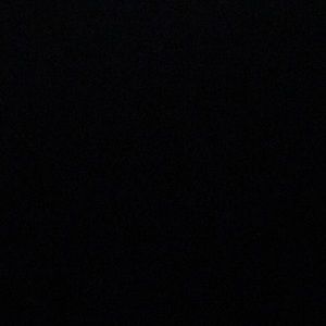 Meet your Posher, Larry